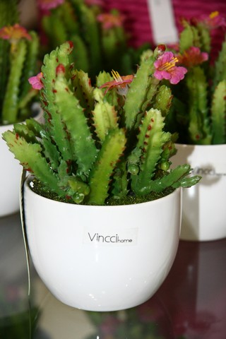 Vincci Home Opening